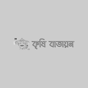 BU পেঁপে-১