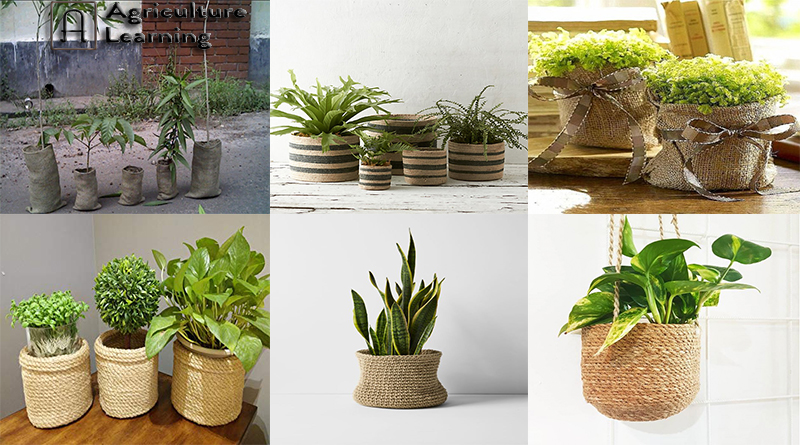 পাটের পচনরোধক নার্সারি পট ( Rot Proof Jute Nursery Pot )